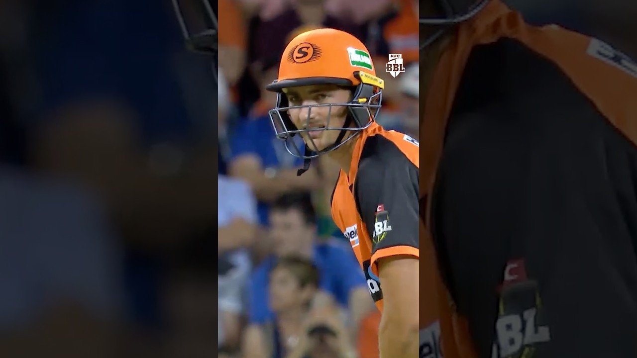 Tim David did THIS in his BBL debut 😲🔥 #bbl #cricket #timdavid