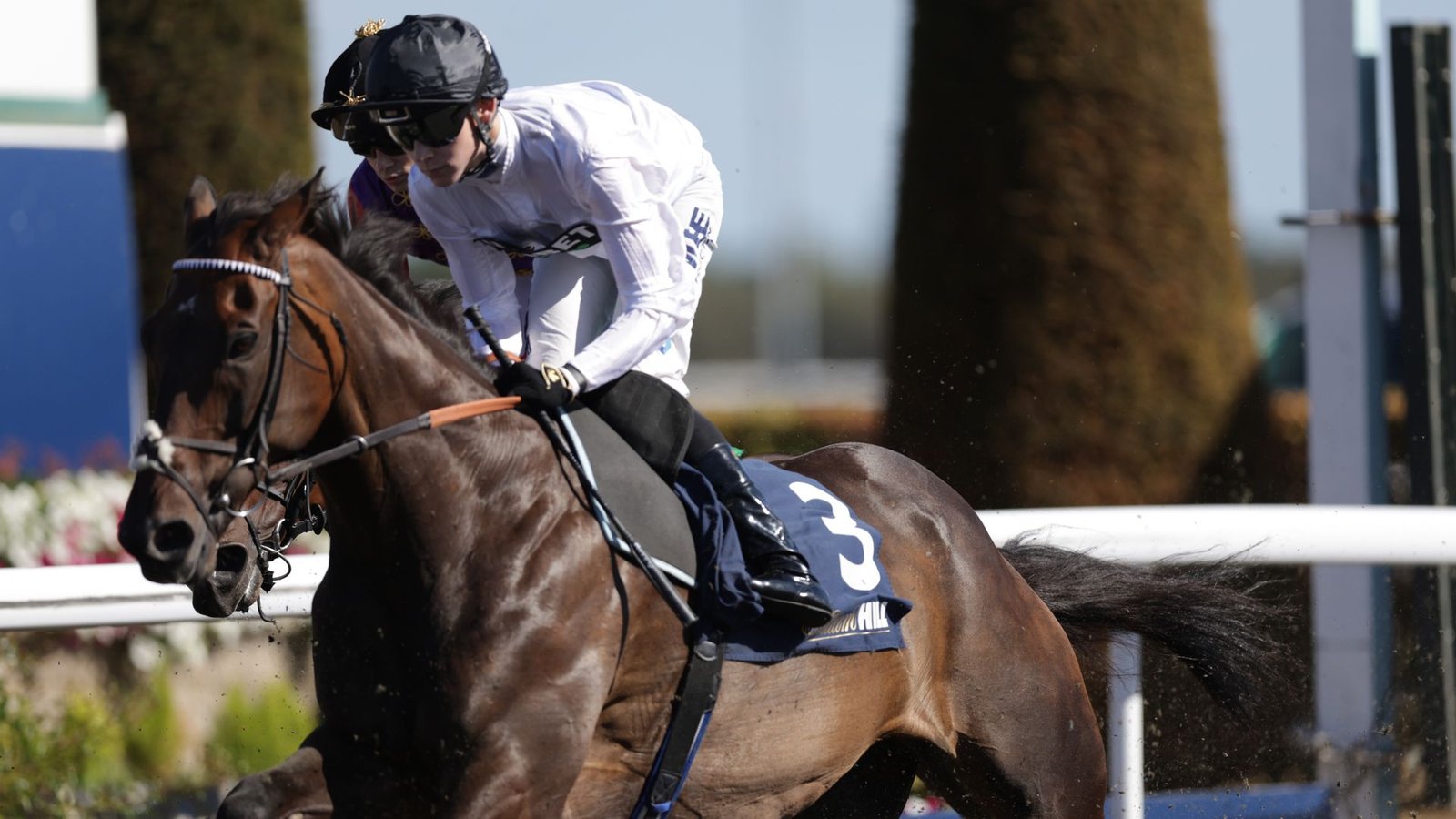 Pride Of Arras Triumphs Over Constitution Hill in William Hill September Stakes at Kempton