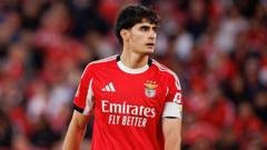 Bournemouth agree £26m fee for Benfica defender Silva