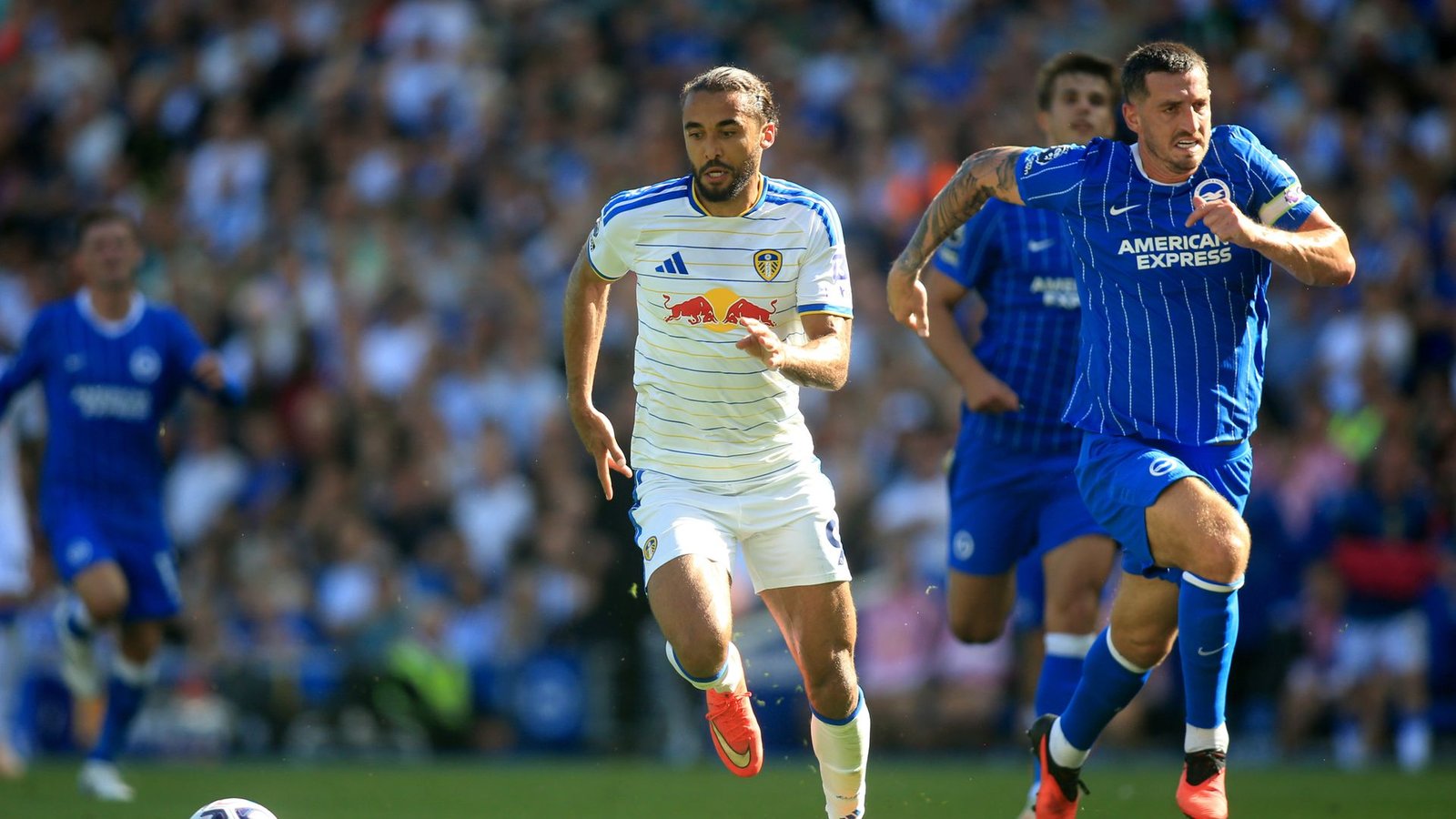 Leeds United Held to 1-1 Draw by Brighton & Hove Albion After Missed Opportunities