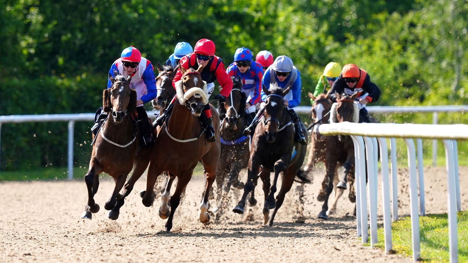 Jessica Aims for First Victory at Wolverhampton in Busy Racing Day