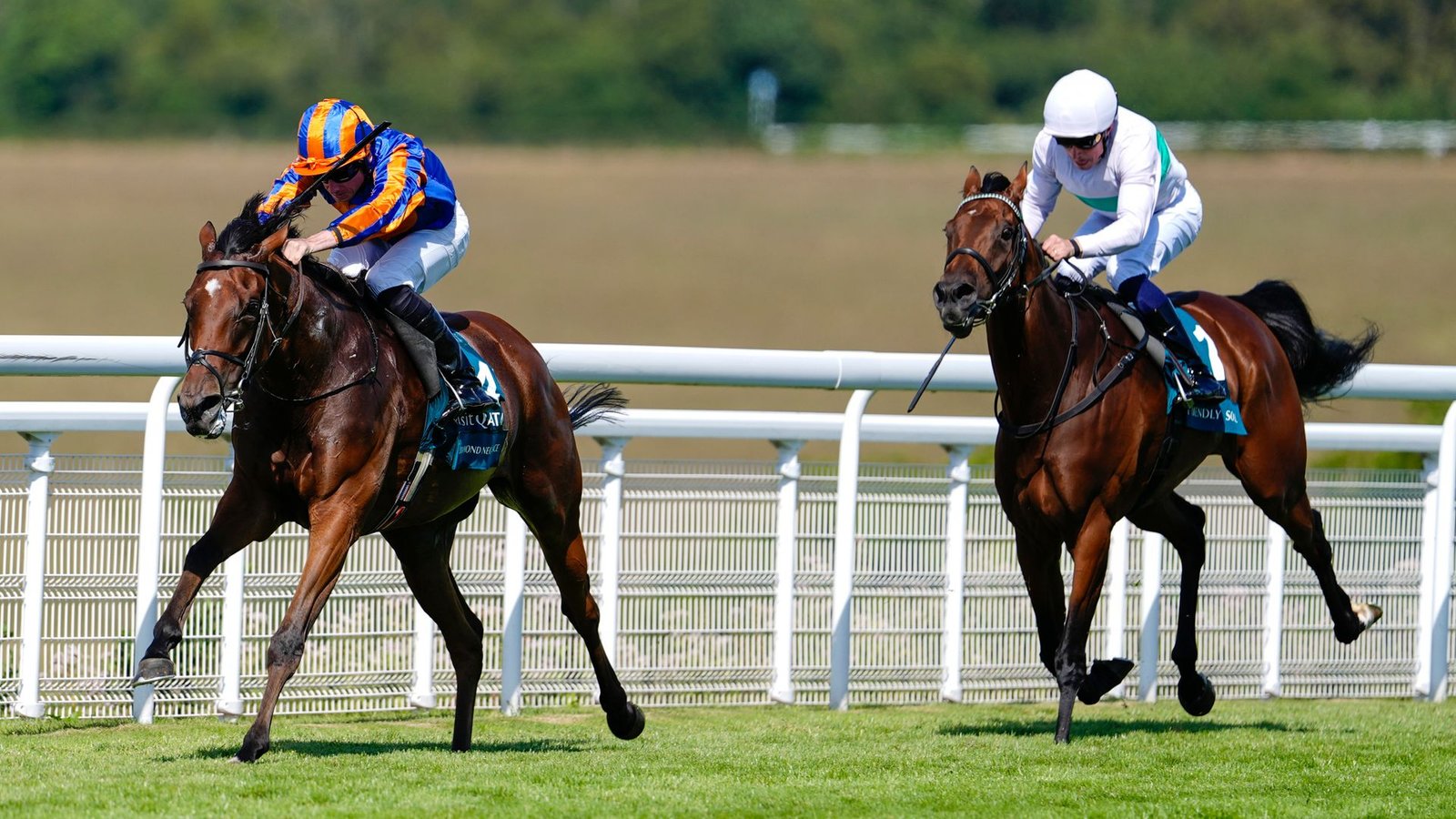 Diamond Necklace sparkles in Nassau Stakes